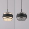 Rings Suspension Luminaires Paul Neuhaus LED Noir, Transparent, 1 lumière, Télécommandes