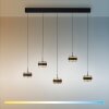 Rings Suspension Luminaires Paul Neuhaus LED Noir, Transparent, 5 lumières, Télécommandes