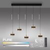 Rings Suspension Luminaires Paul Neuhaus LED Noir, Transparent, 5 lumières, Télécommandes
