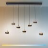Rings Suspension Luminaires Paul Neuhaus LED Noir, Transparent, 7 lumières, Télécommandes