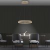 E-Loop Suspension Luminaires Paul Neuhaus LED Bronze, 2 lumières, Télécommandes