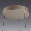 E-Loop Suspension Luminaires Paul Neuhaus LED Bronze, 2 lumières, Télécommandes