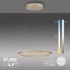 E-Loop Suspension Luminaires Paul Neuhaus LED Bronze, 2 lumières, Télécommandes