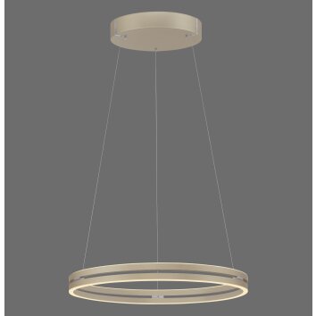 E-Loop Suspension Luminaires Paul Neuhaus LED Bronze, 2 lumières, Télécommandes