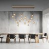 Popup Suspension Luminaires Paul Neuhaus LED Bronze, 19 lumières, Télécommandes