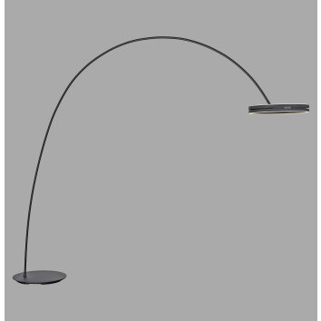 Loop-Bow Lampadaire, Lampadaires arc Luminaires Paul Neuhaus LED Noir, 2 lumières
