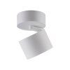 Cup Plafonnier Luminaires Paul Neuhaus LED Blanc, 1 lumière