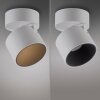 Cup Plafonnier Luminaires Paul Neuhaus LED Blanc, 1 lumière