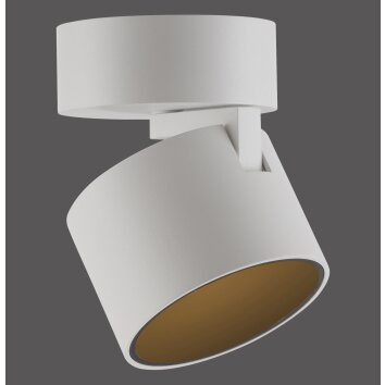 Cup Plafonnier Luminaires Paul Neuhaus LED Blanc, 1 lumière