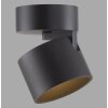 Cup Plafonnier Luminaires Paul Neuhaus LED Noir, 1 lumière