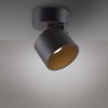 Cup Plafonnier Luminaires Paul Neuhaus LED Noir, 1 lumière