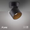 Cup Plafonnier Luminaires Paul Neuhaus LED Noir, 1 lumière
