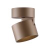 Cup Plafonnier Luminaires Paul Neuhaus LED Bronze, 1 lumière