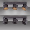 Cup Plafonnier Luminaires Paul Neuhaus LED Noir, 3 lumières