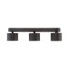 Cup Plafonnier Luminaires Paul Neuhaus LED Noir, 3 lumières