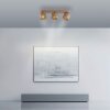 Cup Plafonnier Luminaires Paul Neuhaus LED Bronze, 3 lumières