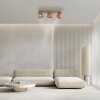Cup Plafonnier Luminaires Paul Neuhaus LED Bronze, 3 lumières