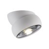 Move Plafonnier Luminaires Paul Neuhaus LED Blanc, 1 lumière
