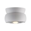 Move Plafonnier Luminaires Paul Neuhaus LED Blanc, 1 lumière
