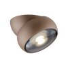 Move Plafonnier Luminaires Paul Neuhaus LED Bronze, 1 lumière