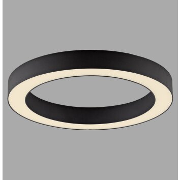 Round Plafonnier Luminaires Paul Neuhaus LED Gris, 1 lumière, Télécommandes