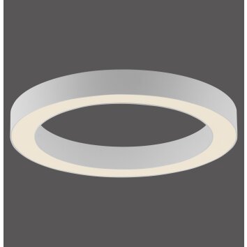 Round Plafonnier Luminaires Paul Neuhaus LED Blanc, 1 lumière, Télécommandes