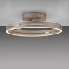 Loop Plafonnier Luminaires Paul Neuhaus LED Bronze, 2 lumières, Télécommandes
