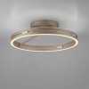Loop Plafonnier Luminaires Paul Neuhaus LED Bronze, 2 lumières, Télécommandes
