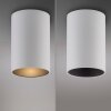 Point Plafonnier Luminaires Paul Neuhaus LED Blanc, 1 lumière
