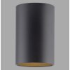 Point Plafonnier Luminaires Paul Neuhaus LED Noir, 1 lumière