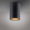 Point Plafonnier Luminaires Paul Neuhaus LED Noir, 1 lumière