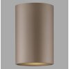 Point Plafonnier Luminaires Paul Neuhaus LED Bronze, 1 lumière