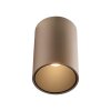 Point Plafonnier Luminaires Paul Neuhaus LED Bronze, 1 lumière
