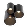 Point Plafonnier Luminaires Paul Neuhaus LED Noir, 1 lumière
