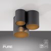 Point Plafonnier Luminaires Paul Neuhaus LED Noir, 1 lumière
