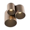 Point Plafonnier Luminaires Paul Neuhaus LED Bronze, 1 lumière