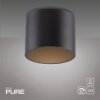 Point Plafonnier Luminaires Paul Neuhaus LED Noir, 1 lumière