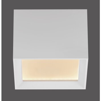 Manhattan Plafonnier Luminaires Paul Neuhaus LED Blanc, 1 lumière, Télécommandes