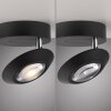 Oculis Plafonnier Luminaires Paul Neuhaus LED Noir, 1 lumière