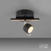 JARIK Plafonnier Luminaires Leuchten Direkt LED Noir, 2 lumières