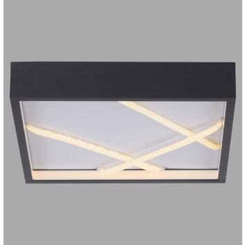 MIKADO Plafonnier Luminaires Leuchten Direkt LED Noir, 1 lumière