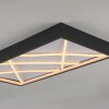 MIKADO Plafonnier Luminaires Leuchten Direkt LED Noir, 1 lumière