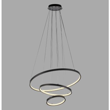 CERCHI Suspension Luminaires Leuchten Direkt LED Noir, 1 lumière