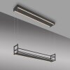 SONTURA Suspension Luminaires Leuchten Direkt LED Noir, 2 lumières
