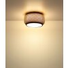 Bambora Plafonnier Luminaires Globo Lighting LED Noir, 1 lumière