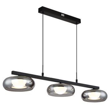 Carlene Suspension Luminaires Globo Lighting LED Noir, 1 lumière