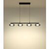 Carlene Suspension Luminaires Globo Lighting LED Noir, 1 lumière
