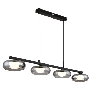 Carlene Suspension Luminaires Globo Lighting LED Noir, 1 lumière