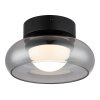 Carlene Plafonnier Luminaires Globo Lighting LED Noir, 1 lumière