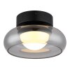 Carlene Plafonnier Luminaires Globo Lighting LED Noir, 1 lumière